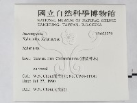 炭角菌屬藏品圖，第2張