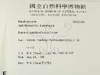 登錄號:F0023280藏品圖，第2張