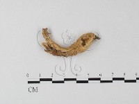 登錄號:F0023280藏品圖，第1張