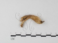 登錄號:F0023280藏品圖，第3張