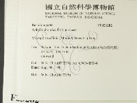 相鄰小孔菌藏品圖，第2張