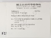 相鄰小孔菌藏品圖，第2張
