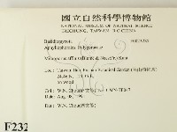 相鄰小孔菌藏品圖，第2張