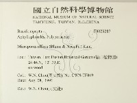 相鄰小孔菌藏品圖，第2張