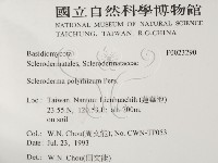 登錄號:F0023290藏品圖，第2張