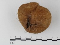 登錄號:F0023290藏品圖，第1張