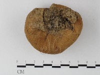 登錄號:F0023290藏品圖，第3張