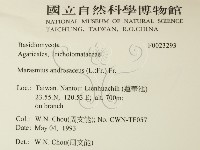 登錄號:F0023293藏品圖，第2張
