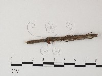 登錄號:F0023293藏品圖，第1張