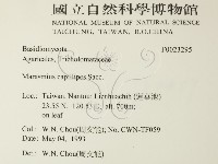 登錄號:F0023295藏品圖，第2張