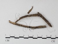 登錄號:F0023295藏品圖，第3張