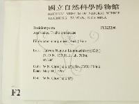 登錄號:F0023296藏品圖，第2張
