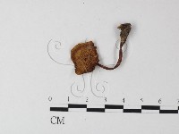 登錄號:F0023296藏品圖，第3張