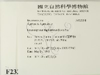 登錄號:F0023298藏品圖，第2張