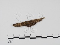 登錄號:F0023300藏品圖，第1張