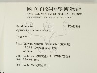 登錄號:F0023302藏品圖，第2張