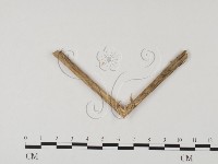 登錄號:F0023302藏品圖，第5張