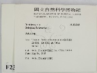 登錄號:F0023305藏品圖，第2張