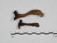 登錄號:F0023305藏品圖，第1張