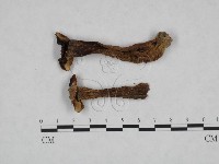 登錄號:F0023305藏品圖，第3張