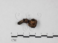 登錄號:F0023306藏品圖，第1張