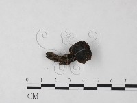 登錄號:F0023306藏品圖，第3張