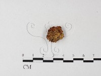 登錄號:F0023307藏品圖，第3張