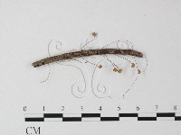 登錄號:F0023309藏品圖，第3張