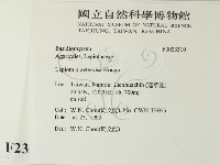 登錄號:F0023310藏品圖，第2張