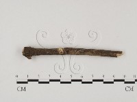 登錄號:F0023313藏品圖，第3張