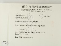 登錄號:F0023316藏品圖，第2張