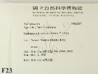 登錄號:F0023317藏品圖，第2張