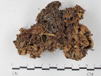 登錄號:F0023318藏品圖，第3張