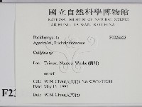 登錄號:F0023323藏品圖，第2張
