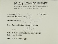 登錄號:F0023324藏品圖，第2張