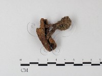 登錄號:F0023326藏品圖，第1張