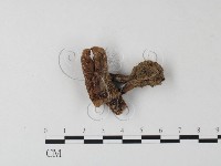 登錄號:F0023326藏品圖，第3張