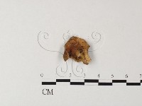 登錄號:F0023327藏品圖，第3張