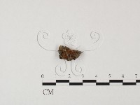 登錄號:F0023328藏品圖，第1張