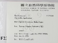 登錄號:F0023330藏品圖，第2張