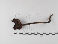 登錄號:F0023330藏品圖，第1張