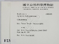 登錄號:F0023331藏品圖，第2張