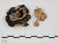 登錄號:F0023333藏品圖，第3張