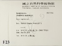 登錄號:F0023334藏品圖，第2張