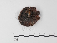 登錄號:F0023334藏品圖，第3張