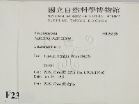 登錄號:F0023336藏品圖，第2張