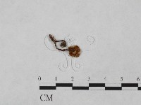 登錄號:F0023336藏品圖，第3張