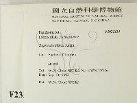登錄號:F0023339藏品圖，第2張