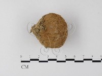 登錄號:F0023342藏品圖，第3張