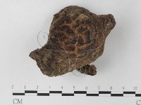 登錄號:F0023346藏品圖，第1張